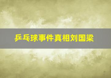 乒乓球事件真相刘国梁