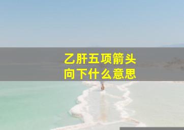 乙肝五项箭头向下什么意思