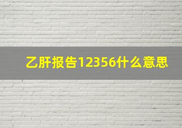 乙肝报告12356什么意思