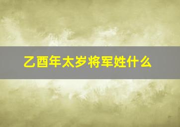 乙酉年太岁将军姓什么