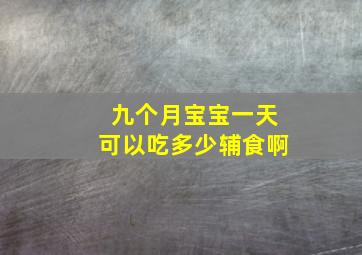 九个月宝宝一天可以吃多少辅食啊