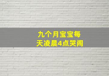 九个月宝宝每天凌晨4点哭闹