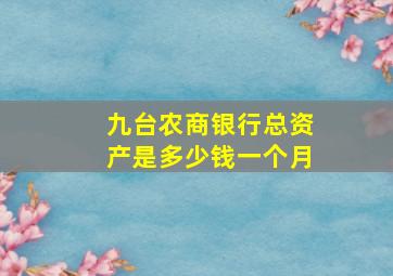 九台农商银行总资产是多少钱一个月