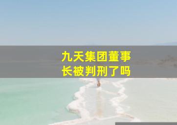 九天集团董事长被判刑了吗