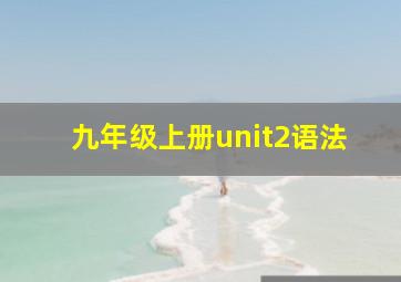 九年级上册unit2语法