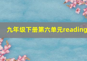 九年级下册第六单元reading