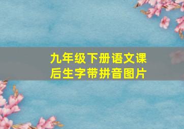 九年级下册语文课后生字带拼音图片