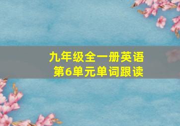 九年级全一册英语第6单元单词跟读