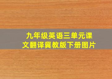 九年级英语三单元课文翻译冀教版下册图片