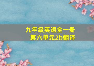 九年级英语全一册第六单元2b翻译