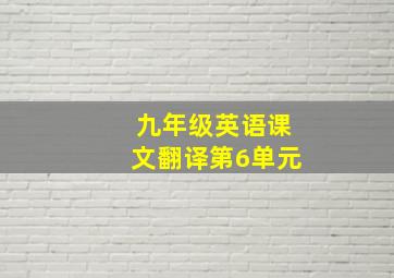 九年级英语课文翻译第6单元