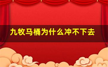 九牧马桶为什么冲不下去