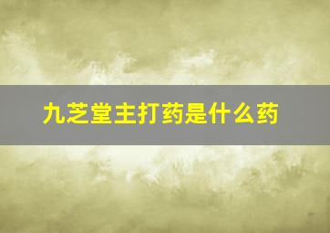 九芝堂主打药是什么药