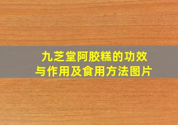 九芝堂阿胶糕的功效与作用及食用方法图片