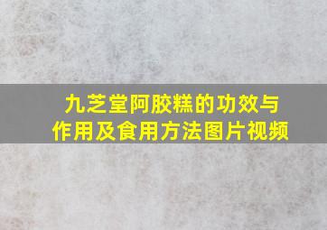 九芝堂阿胶糕的功效与作用及食用方法图片视频