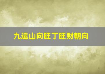 九运山向旺丁旺财朝向