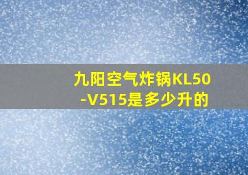 九阳空气炸锅KL50-V515是多少升的