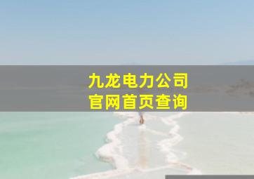 九龙电力公司官网首页查询