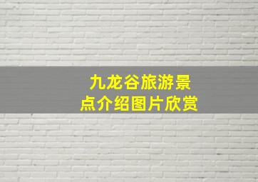 九龙谷旅游景点介绍图片欣赏