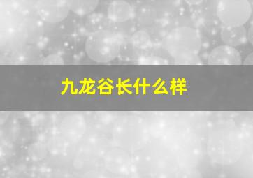 九龙谷长什么样