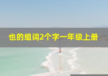 也的组词2个字一年级上册