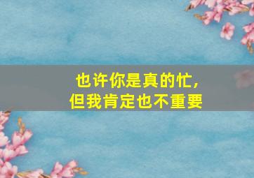 也许你是真的忙,但我肯定也不重要