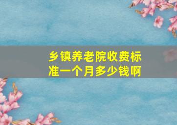 乡镇养老院收费标准一个月多少钱啊