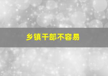 乡镇干部不容易