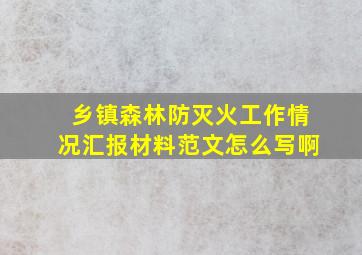 乡镇森林防灭火工作情况汇报材料范文怎么写啊