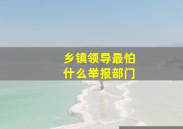 乡镇领导最怕什么举报部门