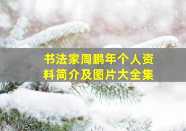 书法家周鹏年个人资料简介及图片大全集