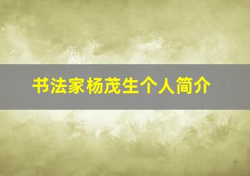 书法家杨茂生个人简介