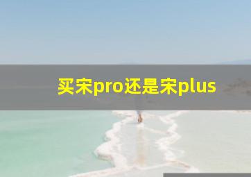 买宋pro还是宋plus