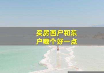 买房西户和东户哪个好一点