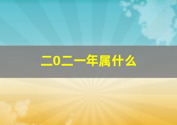 二0二一年属什么