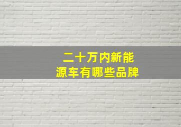 二十万内新能源车有哪些品牌