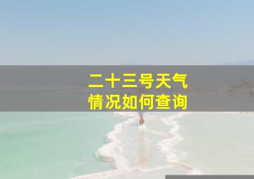 二十三号天气情况如何查询