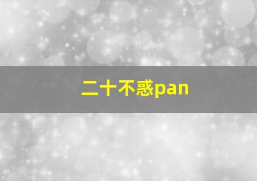 二十不惑pan