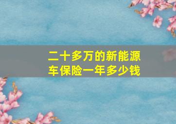 二十多万的新能源车保险一年多少钱