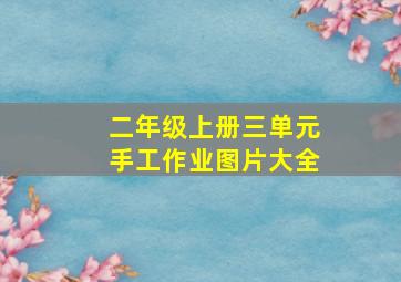 二年级上册三单元手工作业图片大全