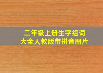 二年级上册生字组词大全人教版带拼音图片