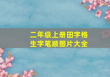 二年级上册田字格生字笔顺图片大全