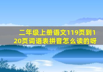 二年级上册语文119页到120页词语表拼音怎么读的呀