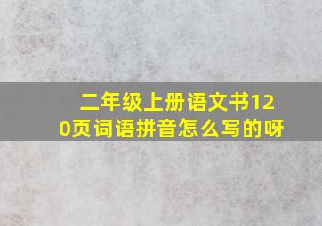 二年级上册语文书120页词语拼音怎么写的呀