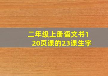 二年级上册语文书120页课的23课生字