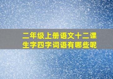 二年级上册语文十二课生字四字词语有哪些呢