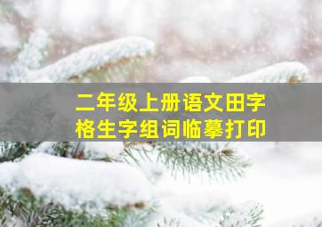 二年级上册语文田字格生字组词临摹打印