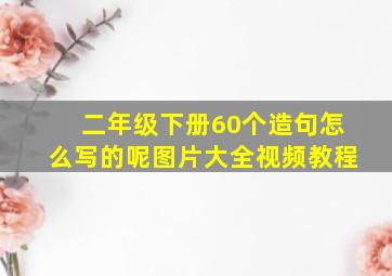 二年级下册60个造句怎么写的呢图片大全视频教程