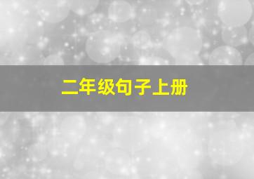 二年级句子上册