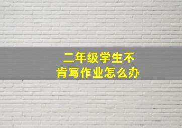 二年级学生不肯写作业怎么办